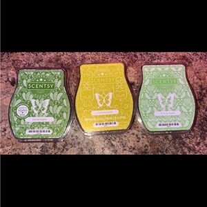 Scentsy wax bars